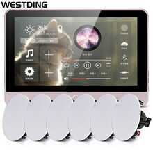 威斯汀XT9智能家居壁挂音响 音箱 挂壁式喇叭套装 背景音乐公共广播系统 餐厅会议广播定压喇叭801*6