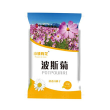 小镇有花 草花种子 波斯菊种子格桑花 四季易种活花庭院景观美林花海长期绿化花籽花卉盆栽厂商封装 白色波斯菊种子矮杆型  10克约千粒装厂商封装