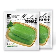 中科茂华瓜果种子清香脆宝菜瓜种子无棱绿皮菜瓜低糖型肉脆多汁可凉拌10克