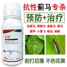 蓟马蚜虫药杀虫药高抗性蓟马专用杀虫剂杀虫杀卵100ml30ml 100ml