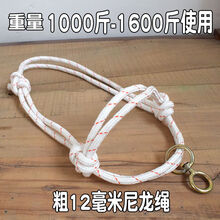 养牛笼头绳子 牛笼头套 拴牛牛缰绳牛笼头 牛用栓牛绳子养牛场用 大号笼头