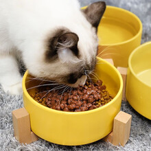 派乐特 猫碗陶瓷猫咪食盆猫咪用品水粮碗防滑打不翻狗盆狗碗