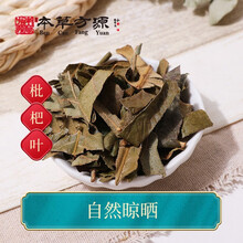 北京本草方源 枇杷叶 中药饮片 10g 清肺 降逆止呕 抓中药 中药材 按方抓药
