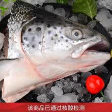 【折合每只9.8元】鲜拔头筹 新鲜三文鱼头1600g-2000g 4只装 剁椒鱼头 煲汤炖汤食材 4只装  1600-2000g