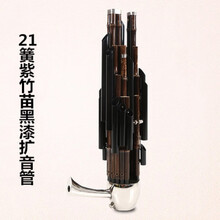 【保价30天】紫竹笙乐器初学者14簧方笙17簧21簧圆笙降E降BCD调扩音笙 21簧紫竹苗黑漆扩音管