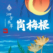 中药饮片  精品岗梅根  1g中药饮片在线抓药中药抓中药拍方抓药  岗梅根