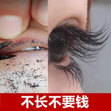 睫毛增长液睫毛眉毛生长液浓密纤长防水不晕染滋养精华营养液男女自然生长 3瓶装【纤长浓密，自然生长】