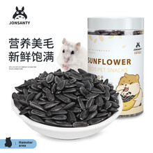 宠尚天 仓鼠零食粮食磨牙石龙猫兔子荷兰猪磨牙棒水果蔬菜干用品 天然油葵瓜子500ml
