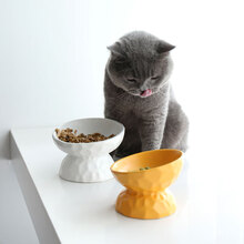 凹凸纹高脚斜口陶瓷猫碗保护颈椎斜口高脚狗狗猫粮碗猫咪食盆饭盆防打翻 小号(200ML)黄色