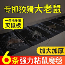 科凌虫控灭鼠魔毯强力老鼠耗子贴粘鼠板驱鼠连续捕鼠神器老鼠夹老鼠笼粘鼠胶家用 灭鼠魔毯*6