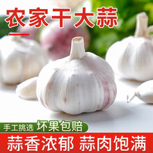我老家 新鲜紫大蒜多瓣蒜农家湿蒜瓣 实惠大果 大蒜重5斤