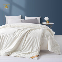 博洋家纺 保暖冬被床上用品暖柔大豆蛋白复合纤维春秋被 被芯四季被子 大豆子母被—白（A类面料+英威达抑菌） 150*210cm