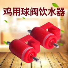 肉鸡蛋鸡专用饮水嘴 卡式饮水器乳头饮水器 钢球饮水器 360度出水 细钉100个