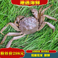 港遇海鲜 大闸蟹鲜活 生鲜螃蟹 淡水蟹 公蟹3.4-3.7两母蟹2.4-2.7两 4对8只