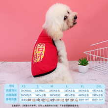 小狗狗衣服春装薄款夏装背心春夏宠物泰迪比熊博美幼犬小型犬猫咪 深桃红色 XS