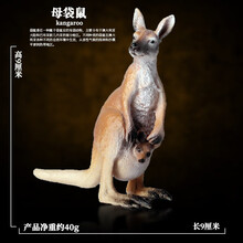 Oenux正版实心仿真野生动物园模型套装大象老虎狮子王长颈鹿儿童玩具 母袋鼠