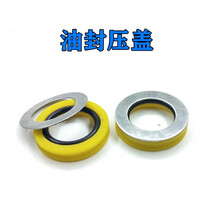 农用隆迈LM双缸电动喷雾器易损件打药机修理包柱塞泵密封圈油水封 LM油封压盖【2套