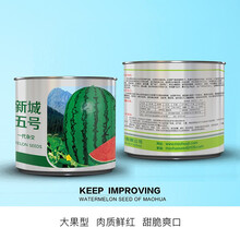 中科茂华 蔬菜瓜果种子 新城五号杂交西瓜种子 金城五沙漠晒砂西瓜種子 内蒙宁夏石头瓜 超甜超高产 西瓜种子100克/盒