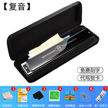 德国原装进口音簧28孔重音C调口琴专业舞台演奏级高端初学者复音口琴高档送礼珍藏版天鹅乐器 音标款复音黑色【进口音簧+11件礼品】