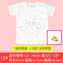 绘画T恤创意材料幼儿园儿童子手工制作diy手绘涂鸦文化衫纯白色 T恤带图案【小鸟款】