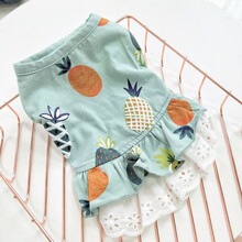 小狗狗裙子菠萝情侣装宠物衣服小型犬猫咪泰迪薄款T恤夏季装秋季 菠萝【裙子】绿 S(建议3斤以下)