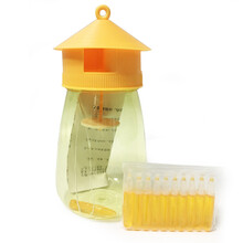 2021新品果蝇诱捕器 新款果蝇诱捕器瓜果实蝇诱捕剂果园菜地杀果蝇针蜂桔小实蝇引诱剂 黄捕器1个+10支诱剂