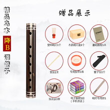 吹泪管 单管催泪管筚篥乐器乌木管子D调C调降B调管乐器吹泪管哨片 降B调【塑料哨1个】＋8