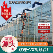 鲸榜智能玻璃电动育苗温室养殖种植农业用花卉蔬菜草莓钢管热镀锌骨架连体栋PC阳光板科研春秋遮阳薄膜大棚 申经理热线13501309881