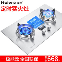 燃气灶双灶家用猛火定时煤气灶天然气液化气台式嵌入式煤气炉双炉不锈钢猛火炉双炉Haieng海声 HS09-1 九头鸳鸯猛火款【双边独立定时款】 天然气