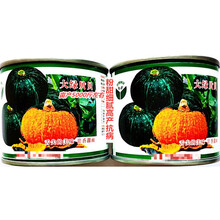 山西太谷艺园大绿贝贝南瓜种子面甜细腻早熟高产农家春秋播种精选 太谷艺园大绿贝贝原装100粒x5罐