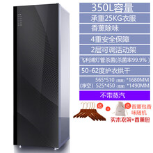 干衣机 衣物护理机消毒烘干机家用速干衣大容量熨烫干洗机衣柜 聚力(J)专卖 莱卡灰-不带蒸汽熨烫-350L