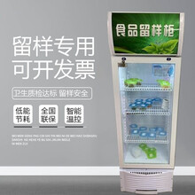 食品留样柜小型冰箱幼儿园带锁食堂学校厨房保鲜展示冷藏家用迷你YOUCONG 52*52*162cm