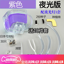 2019大号宠物蚂蚁城堡蚂蚁工坊蚂蚁宫房家园蚂蚁后院蚂蚁庄园YJ 紫色 送夜光灯