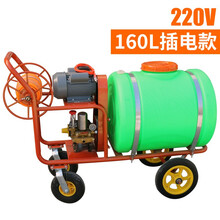 天蓬惠农 160升养殖场高压清洗机 猪场消毒机 养殖场喷雾机 汽油款消毒车 手推式消毒喷雾车 打药车 160升插电220v/两相电
