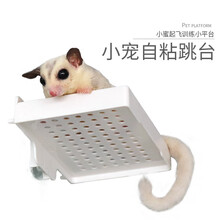 小囧家 蜜袋鼯起飞跳台蜜袋鼬用品玩具饲养箱家具自粘站台小飞鼠小蜜滑翔训练站杆笼子内部家具用品
