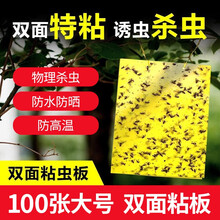 大灰狼 双面粘虫板大号黄板诱捕虫板纸贴黄色沾害虫蓟马黑虫灭小飞虫果蝇粘板大棚茶果园 大号(25*20)cm100张