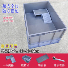 易逗 塑料乌龟箱龟缸造景生态大型专用养殖箱养龟缸带晒台水族箱水陆缸 底排800*600*340mm 蓝 灰