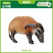 英国CollectA我你他仿真野生动物模型玩具儿童认知88554红河猪 红河猪