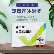 华畜 兽药兽用双黄连水针注射用猪牛羊药清热解毒退烧感冒药