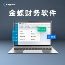 金蝶（kingdee）精斗云云会计V3 金蝶财务软件 小企业会计做账记账软件网络版3帐套4用户