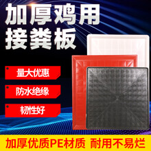 耐尔尼 鸡用接粪板鸡粪托盘养鸡育雏鸡笼用塑料漏粪板 红色70*80