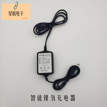 北京博飞通立电子经纬仪DJD充电电池盒6V2000mAh毫安充电器 充电器
