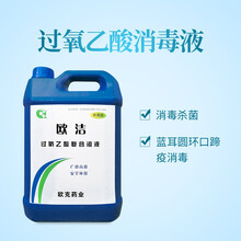 OUKE兽用 6%过氧乙酸消毒液 猪场猪圈口蹄疫消毒流感 养殖场消毒药 实验室医院工厂消毒 5升*2桶