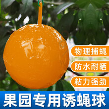 诱蝇球瓜果实蝇粘虫球捕柑橘大实蝇杀桔小实蝇针蜂沾马蜂灭贴粘果蝇诱捕器家用诱粘剂果园灭蚊虫粘蝇纸 7.7cm黄色 10个