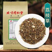 京皖 荔枝草 中药饮片 按方抓药 100g