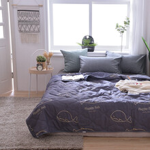 派晗家纺 空调被夏凉被2021新款夏季被芯薄被子学生宿舍寝室卧室单双人透气柔软被 小鲸鱼 150X200cm