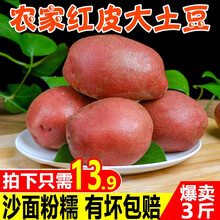 云南红皮土豆马铃薯红皮黄心洋芋当季农家自种蔬菜 精选3斤小果