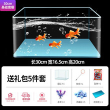 鱼缸 小鱼缸水族箱玻璃缸迷你小型玻璃免换水族箱客厅桌面观赏造景创意生态金鱼缸 30裸缸【+5件套】