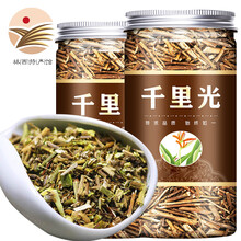 燊岳 千里光500g 严选中药材 千里光500g罐装