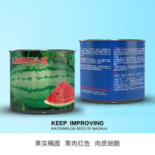 中科茂华瓜果蔬菜种子 杂交西瓜种子 山地石头瓜大果双红瓤西瓜種子 高产抗病耐重茬 超甜薄皮基地种植 山地石头瓜50克*2盒